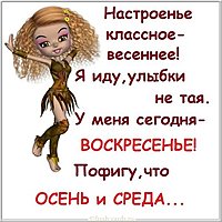 Картинка про среду прикольная с надписями бесплатно
