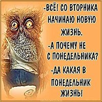 Картинка про вторник прикольная