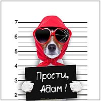 Картинка прости Адам