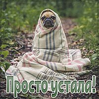 Картинка просто устала