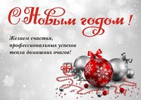 Картинка с 2019 Новым Годом свиньи красивая скачать