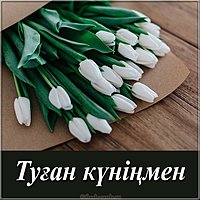 Картинка с днем рождения на казахском