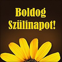 Картинка с днем рождения на венгерском языке