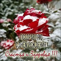 Картинка с днем рождения с оригинальными цветами