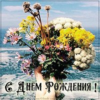 Картинка с днем рождения с цветами без текста