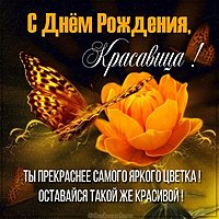 Картинка с днем рождения с цветами и бабочками