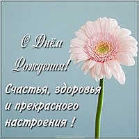 Картинка с днем рождения с цветами и пожеланием