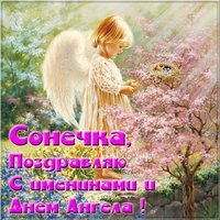 Картинка с днем Сонечки