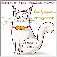 Картинка с добрым утром прикольная друзьям в понедельник