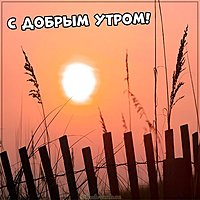 Картинка с добрым утром прикольная новая оригинальная