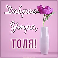 Картинка с именем Толя доброе утро