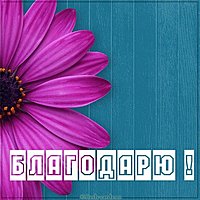 Картинка с надписью благодарю
