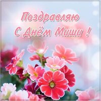 Картинка с поздравлением с днем Миши