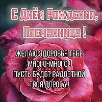 Картинка с поздравлением с днем рождения племяннице