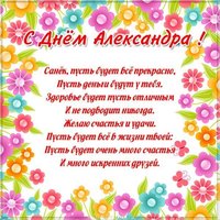 Картинка с поздравлением с днем Сани