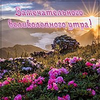 Картинка с пожеланием замечательного великолепного утра