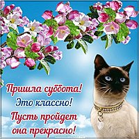 Картинка с субботой красивая