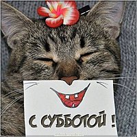Картинка с субботой прикольная бесплатно