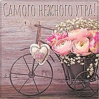 Картинка самого нежного утра
