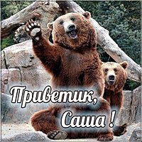 Картинка Саша приветик
