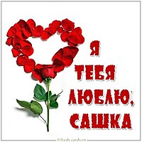Картинка Сашка я тебя люблю