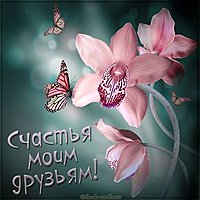 Картинка счастья моим друзьям красивая