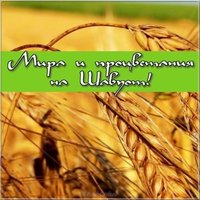 Картинка Шавуот