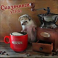 Картинка сказочного утра прикольная