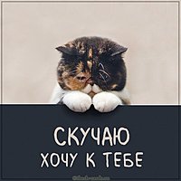 Картинка скучаю хочу к тебе прикольная