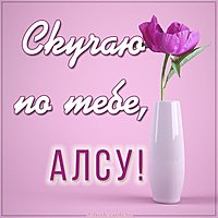 Картинка скучаю по тебе Алсу