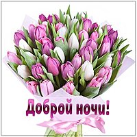 Картинка со словами доброй ночи