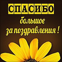 Картинка со словами спасибо большое за поздравления