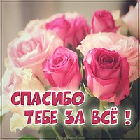 Картинка со словами спасибо тебе за все