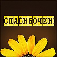 Картинка со словом спасибочки