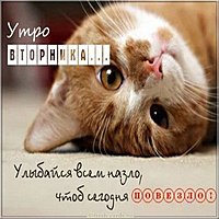 Картинка со вторником прикольная смешная