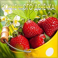 Картинка солнечного денечка
