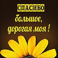 Картинка спасибо большое дорогая