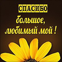 Картинка спасибо большое любимый