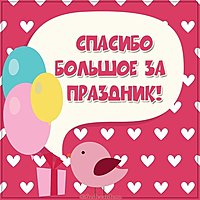 Картинка спасибо большое за праздник