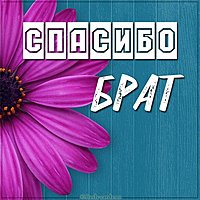 Картинка спасибо брат очень красивая