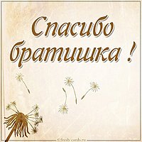 Картинка спасибо братишка красивая