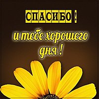 Картинка спасибо и тебе хорошего дня