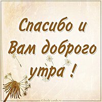 Картинка спасибо и вам доброго утра