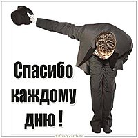 Картинка спасибо каждому дню