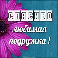 Картинка спасибо любимая подружка