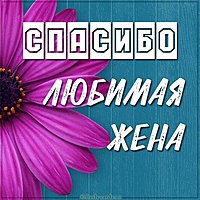 Картинка спасибо любимая жена