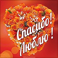 Картинка спасибо люблю