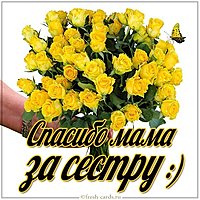 Картинка спасибо мама за сестру
