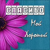 Картинка спасибо мой хороший