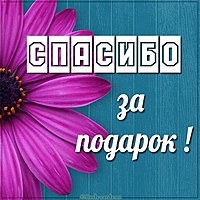 Картинка спасибо мужчине за подарок